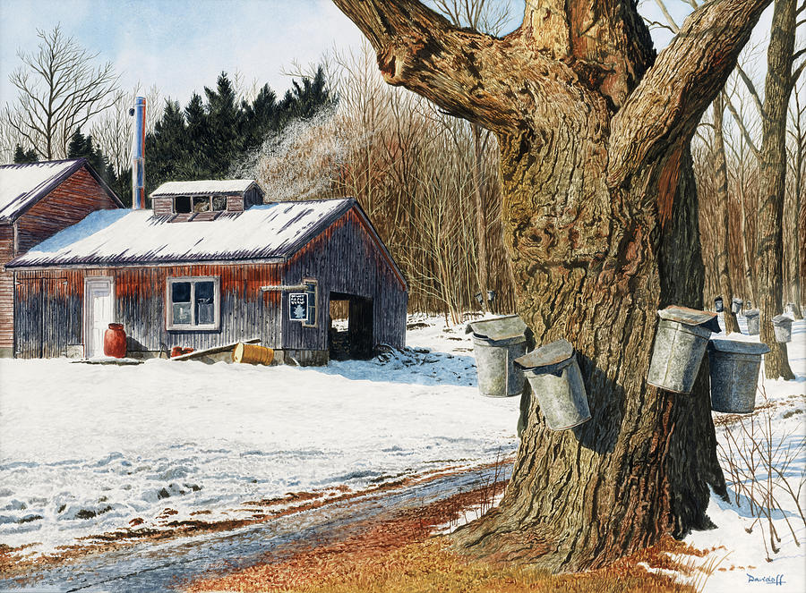 Winter Painting - Sugarhouse Near Becket by Michael Davidoff