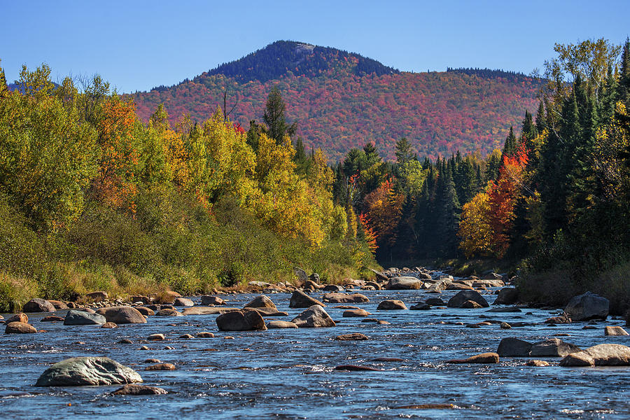 Sugarloaf River Autumn Photograph by White Mountain Images