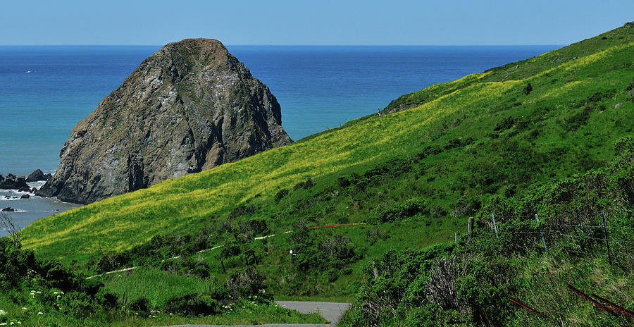 Sugarloaf Rock Cape Mendocino Ca Photograph By Reid Albee