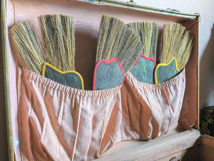 Suitcase Of Brushes Photograph