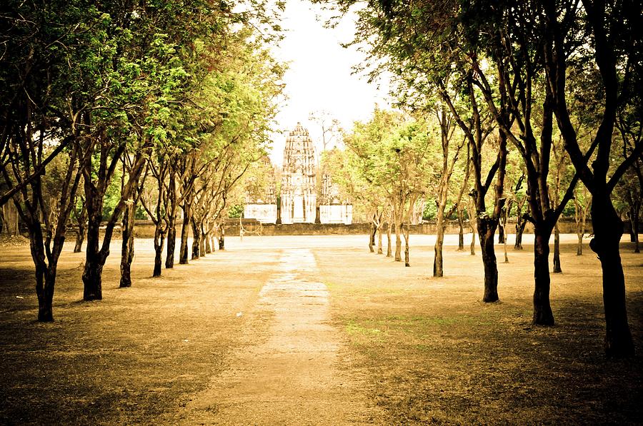 Sukhothai Tree Line Photograph by Debra M Josephson