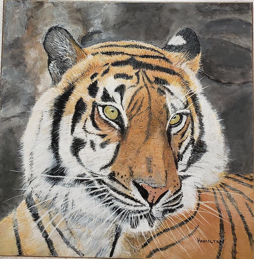 Sumatran Tiger by Larry Hamilton Sumatran Tiger by Larry Hamilton