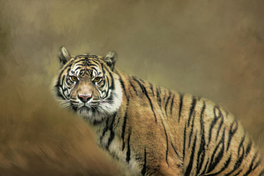 Wildlife Digital Art - Sumatran Tiger by TnBackroadsPhotos