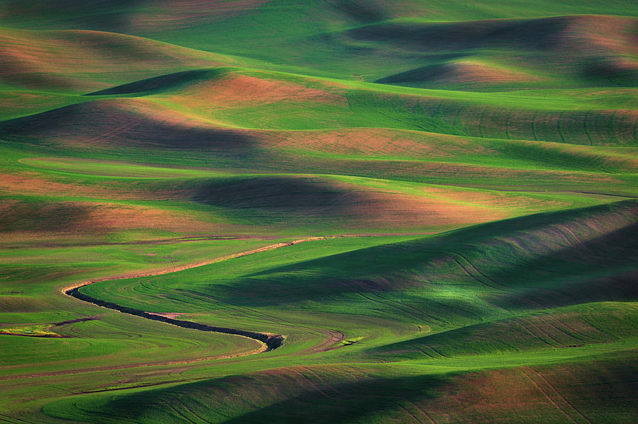 Summer Afternoon in the Palouse Photograph by Kristen Wilkinson