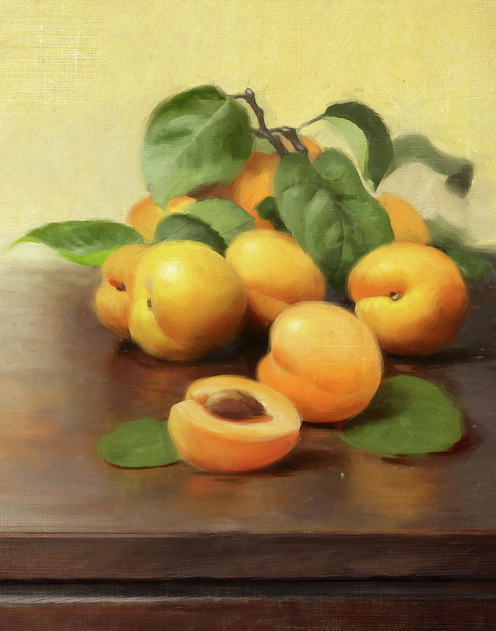 Summer Apricots Painting by Robert Papp