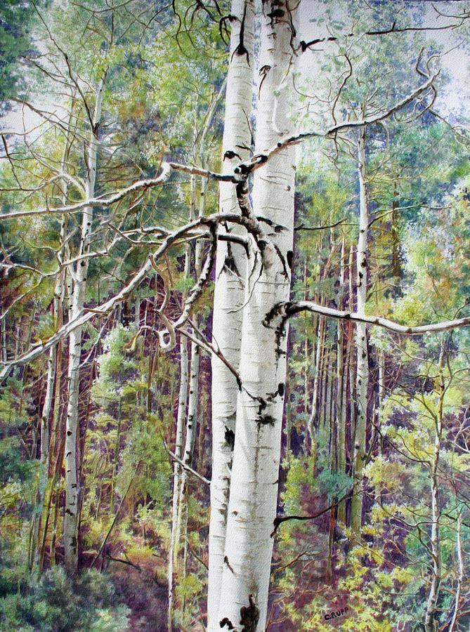 Tree Painting - Summer Aspen Color by Carol J Rupp