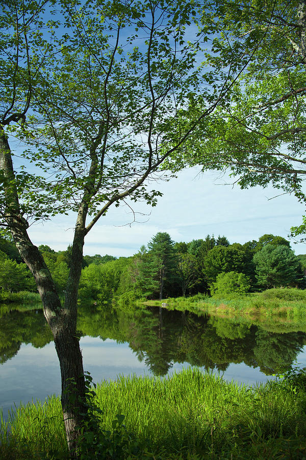 Summer At Fenns Pond Photograph
