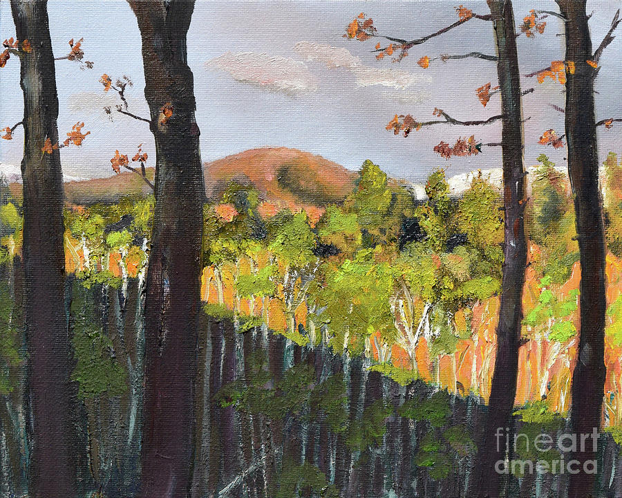 Summer at Pink  Knob in Ellijay Painting by Jan Dappen