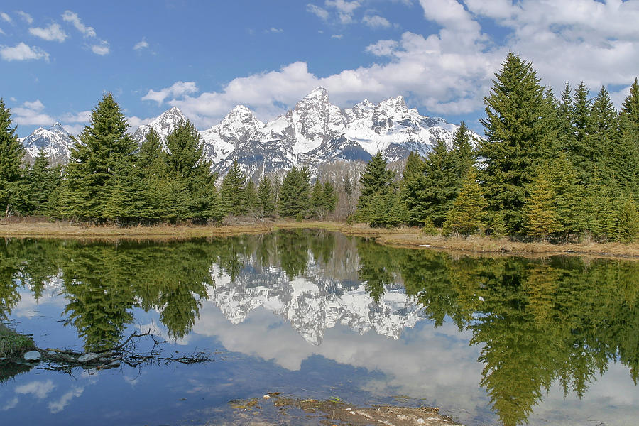 Summer at Schwabacher Photograph by Ronnie And Frances Howard