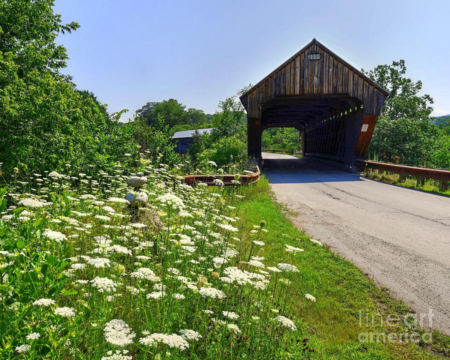 Summer at the Twin Willard Covered Bridge Photograph by Steve Brown