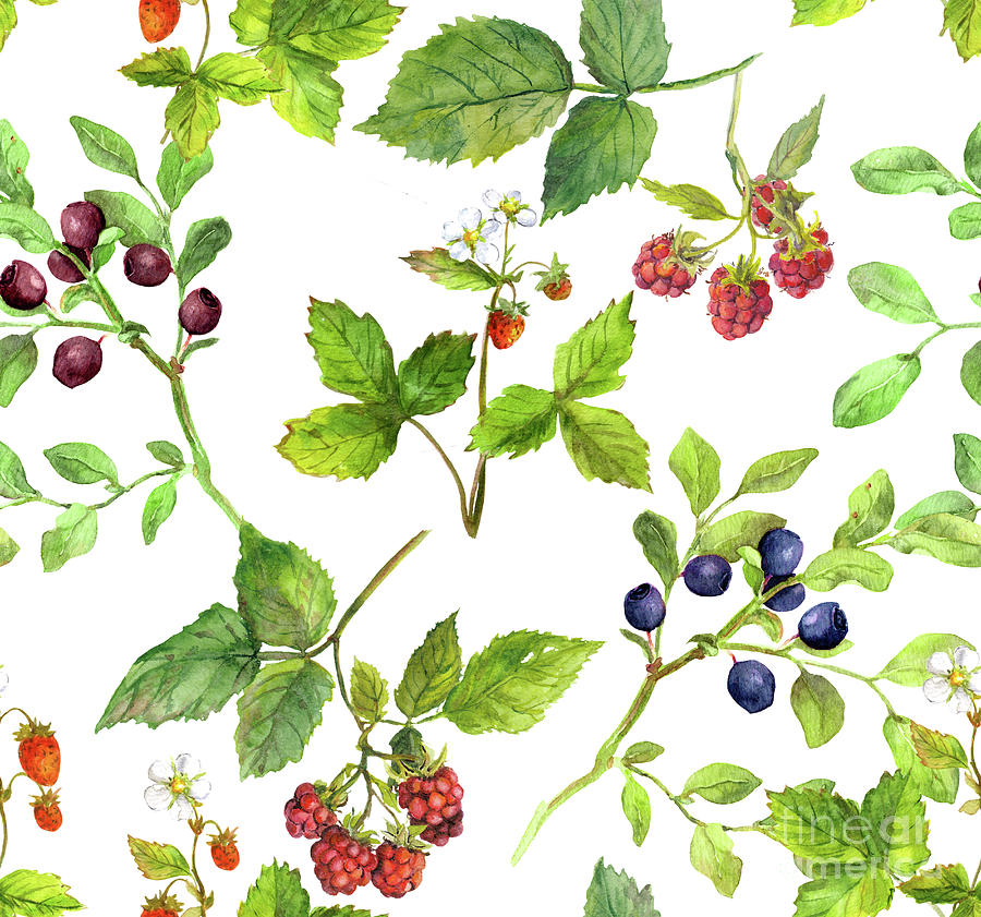 Summer Background With Berries - Digital Art by Zzorik