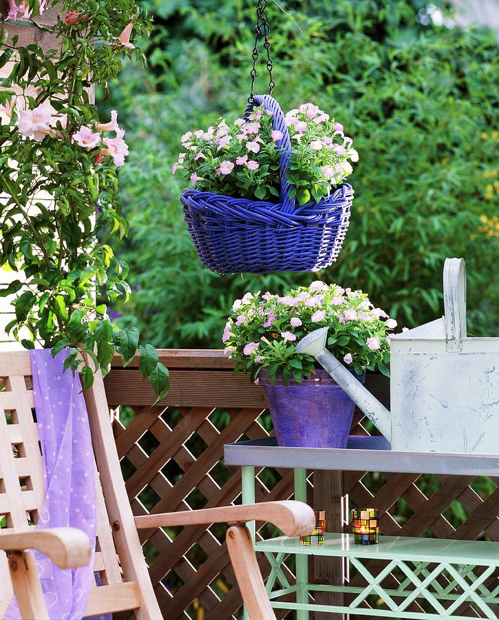 Summer Balcony With Flowering Plants In Blue Wicker Shopping Basket Hanging From Chain Photograph by Friedrich Strauss