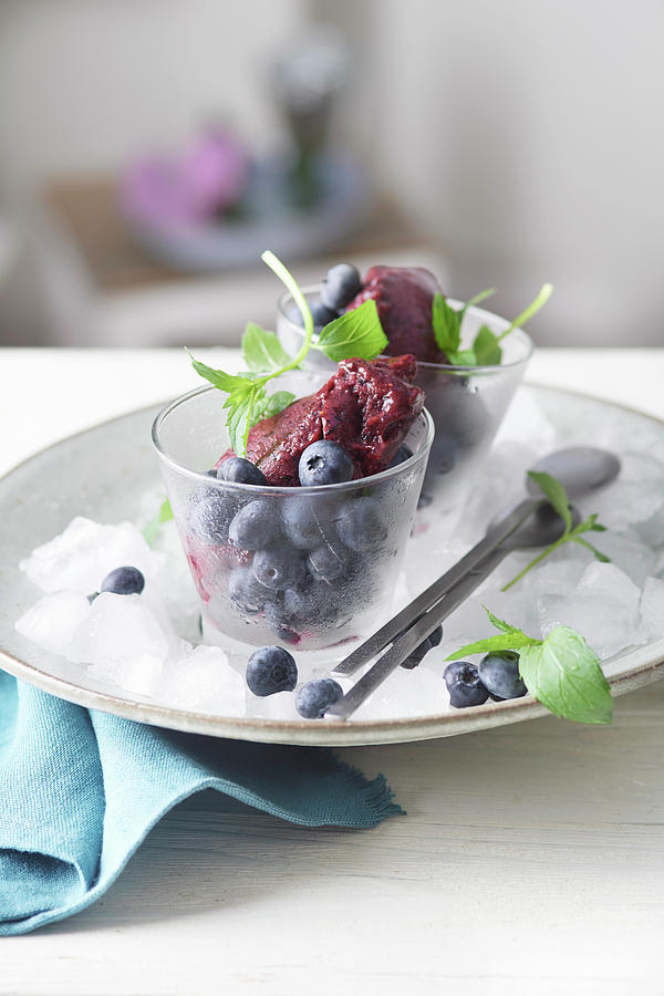 Summer Blueberry Sorbet With Mint Photograph by Nikolai Buroh