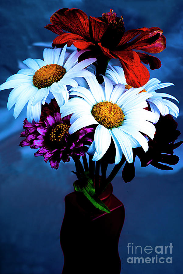 Summer Bouquet With Daisies. Photograph by Alexander Vinogradov