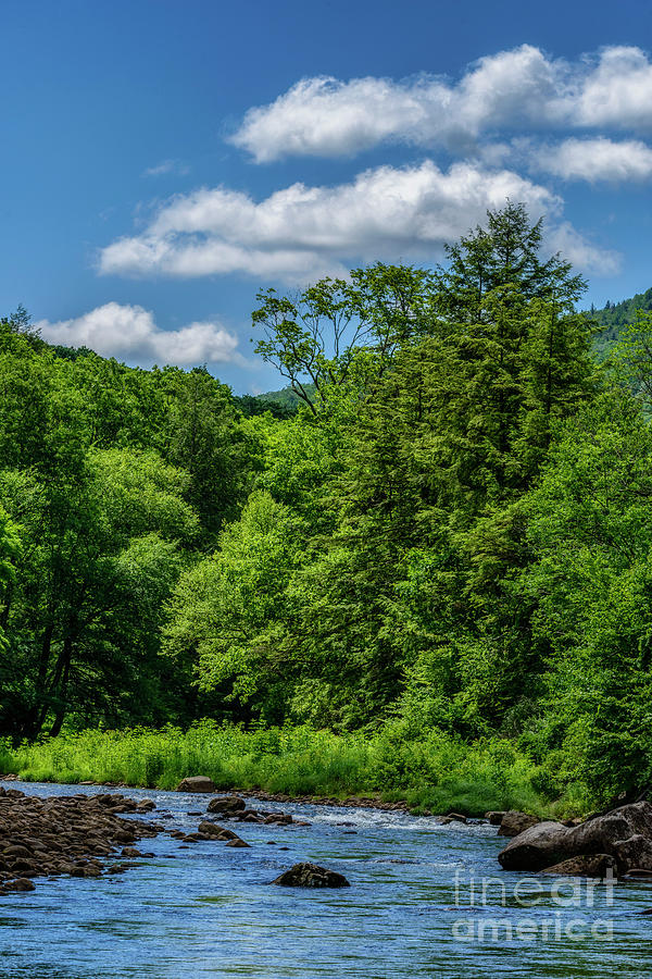 Summer Day on Williams River Photograph by Thomas R Fletcher