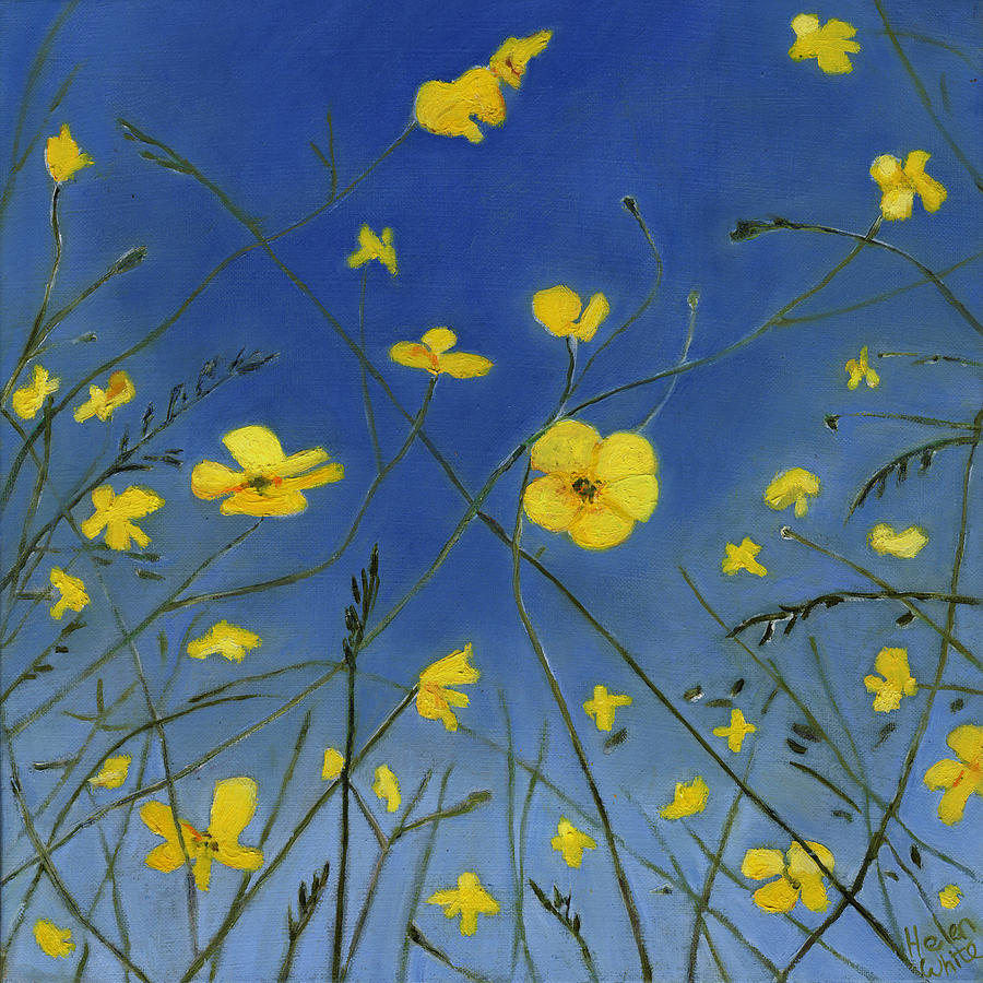 Buttercups Painting - Summer Days and Lazy Ways by Helen White Buttercups Painting - Summer Days and Lazy Ways by Helen White