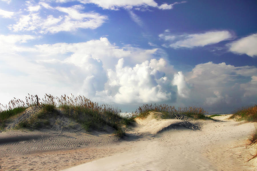 Summer Dunes -1 Photograph by Alan Hausenflock