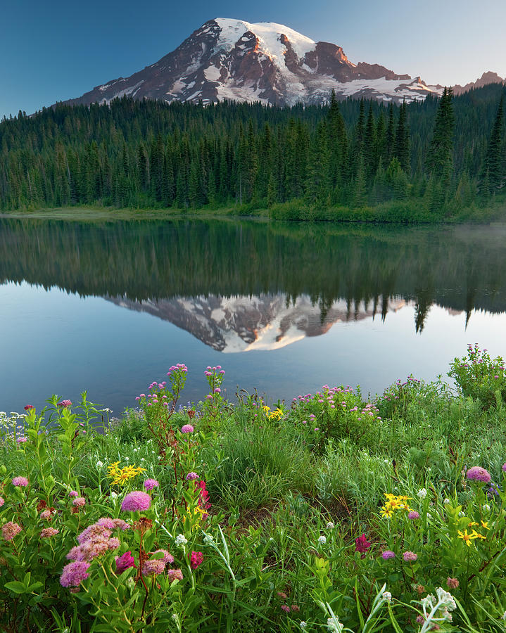 Summer Flowers And The Landscape Of The Photograph by Mint Images - Art Wolfe