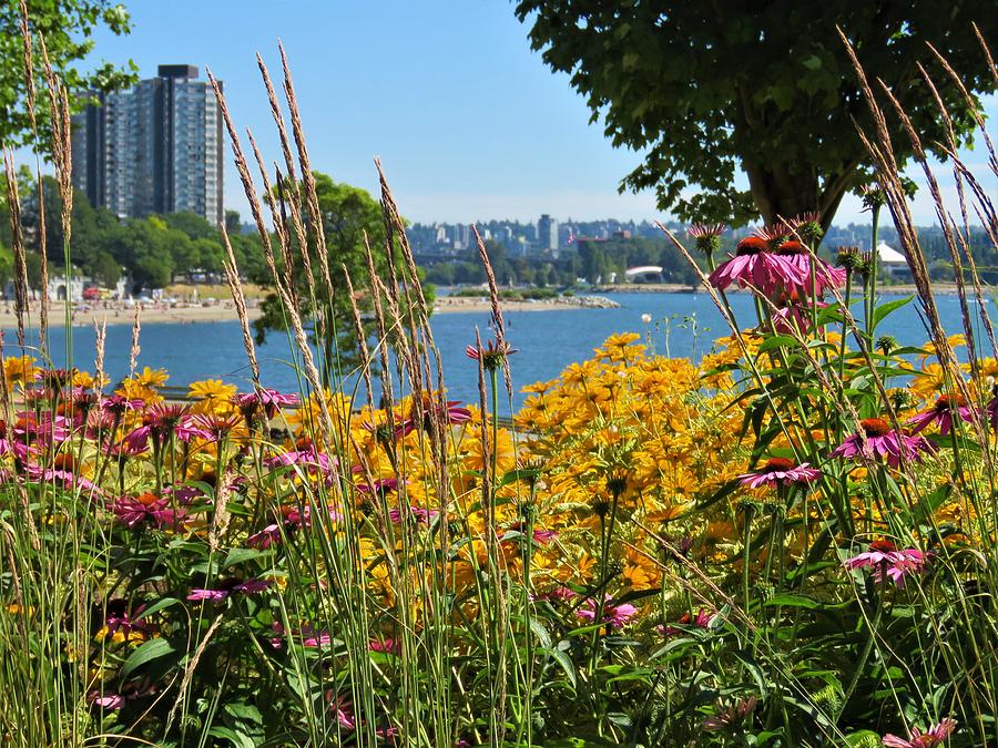 Summer Flowers Vancouver 2 Photograph by Joan Stratton