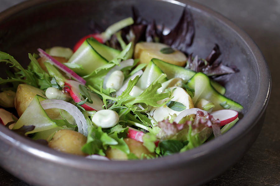 Summer Garden Salad With Ew Potatoes, Radish, Broad Beans, Courgette And Red Onion Photograph by Lee Parish