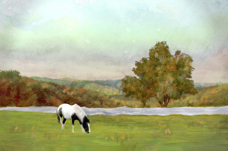 Summer Grazing Mixed Media by Mary Timman