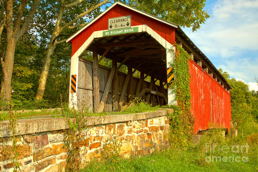 Summer Greens At The Mt. Pleasant Covered Bridge Photograph by Adam Jewell