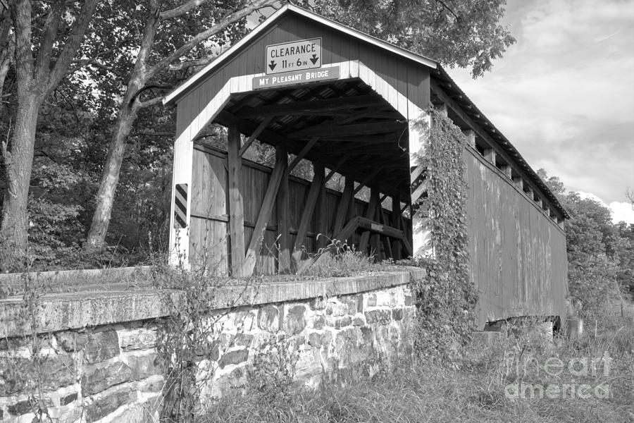 Summer Greens At The Mt. Pleasant Covered Bridge Black And White Photograph by Adam Jewell