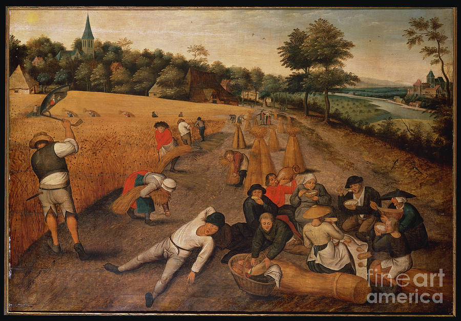 Summer: Harvesters Working And Eating In A Cornfield, 1624 Painting by ...