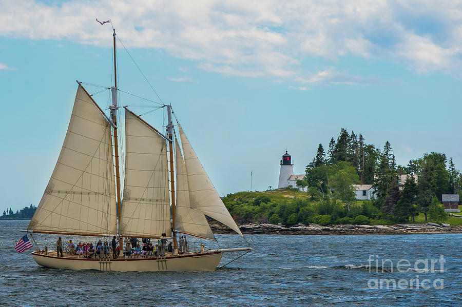 Summer in Maine by Jesse MacDonald Summer in Maine by Jesse MacDonald