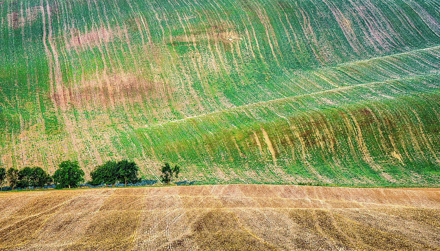 Moravia Photograph - Summer in Moravia by Andrei Dima Moravia Photograph - Summer in Moravia by Andrei Dima