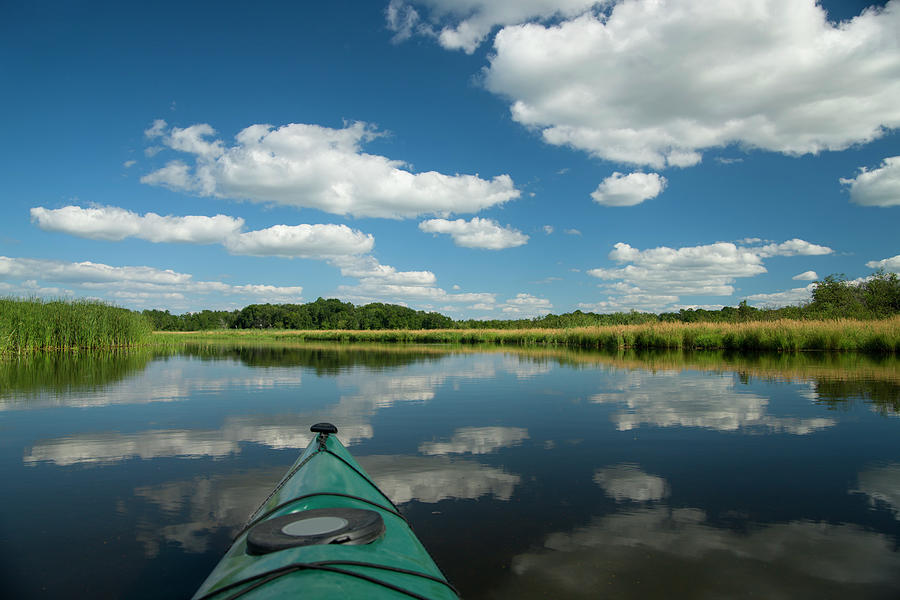 Summer Kayaking Photograph by Jimkruger