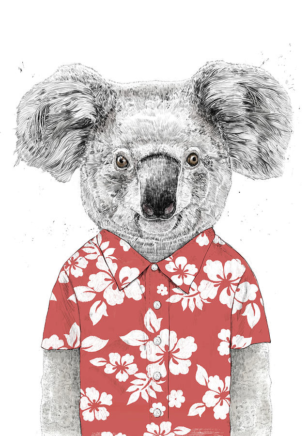 Summer Drawing - Summer koala by Balazs Solti