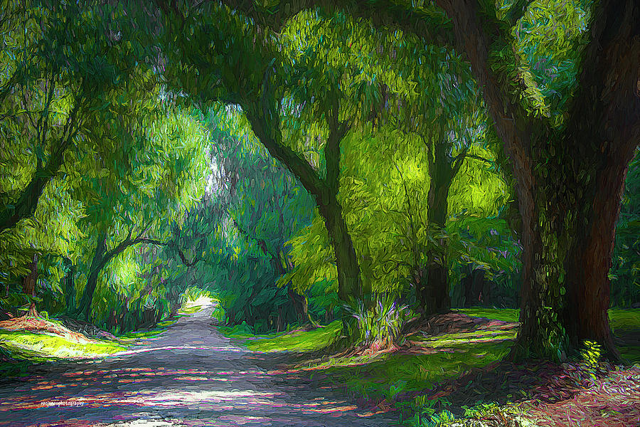 Tree Digital Art - Summer Lane by Ron Jones