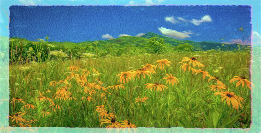 Summer Meadow, Painterly Photograph by Marcy Wielfaert
