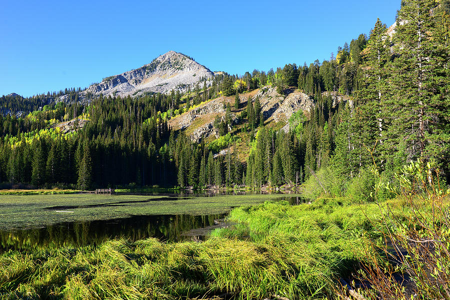 Summer Mountain Lake Photograph by Clyn Robinson - Fine Art America