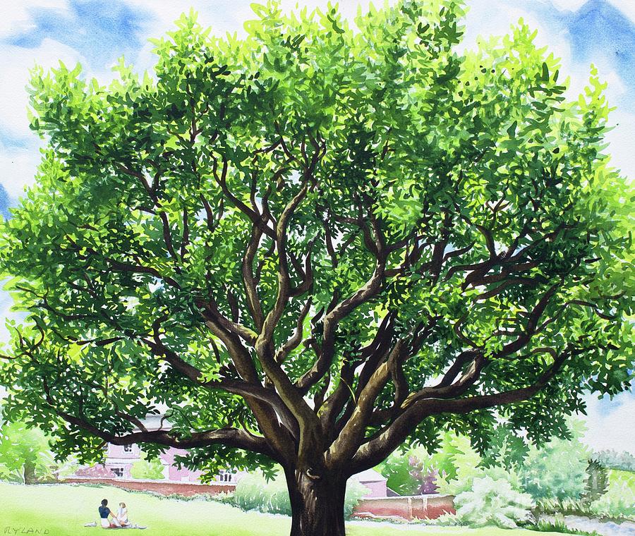 Summer Oak Tree Painting by Christopher Ryland