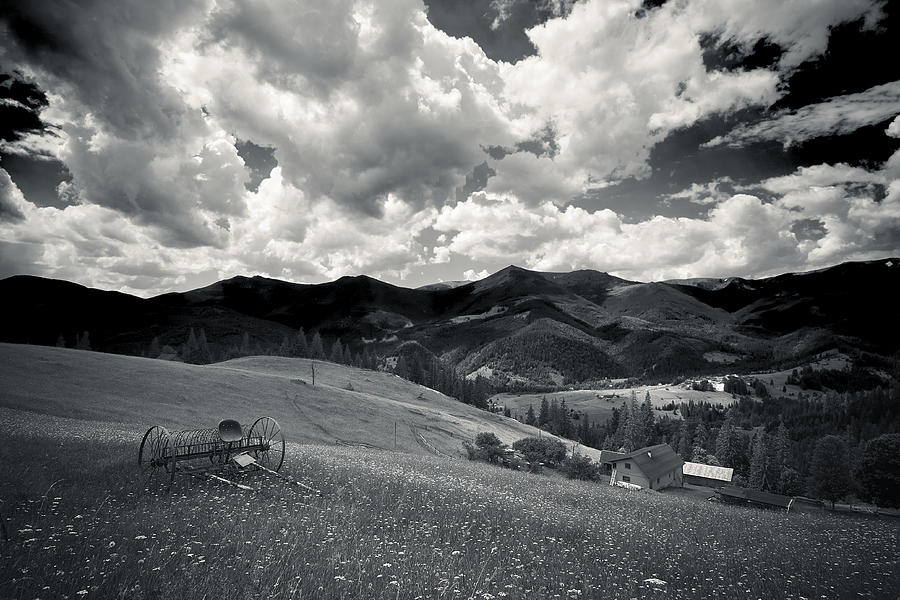 Summer On Polonyna (mountain Meadow) Photograph by Andrii Maykovskyi