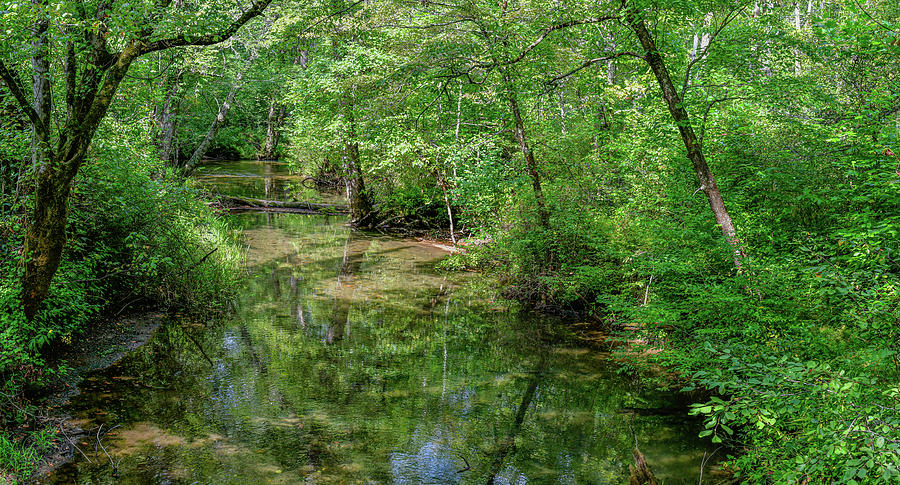 Summer Peace Along the Creek Photograph by Marcy Wielfaert