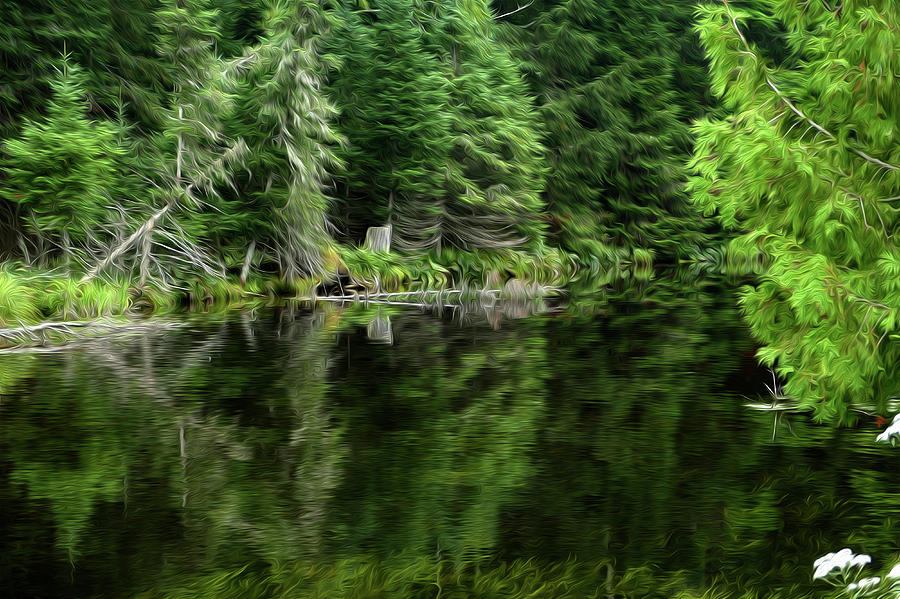 Summer Pond Oil Painting Digital Art by Sandra Js