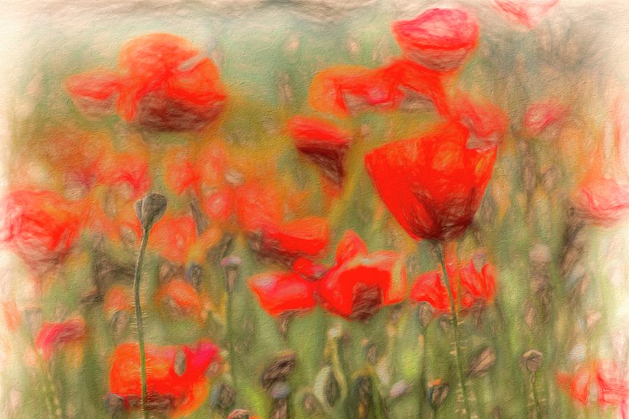 Summer Poppies Pastel Art Photograph by David Pyatt | Fine Art America