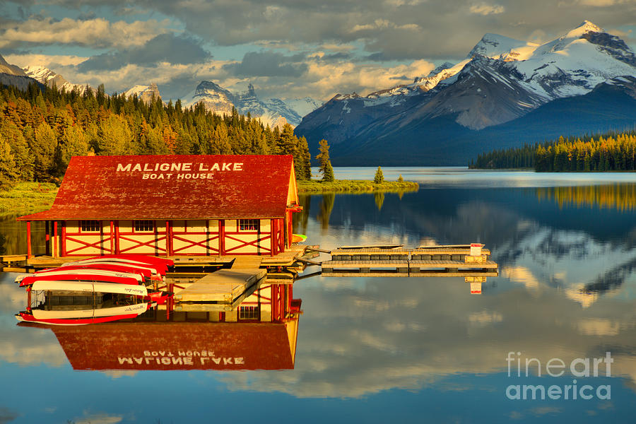 Summer Reflections On Maligne Lake Photograph by Adam Jewell