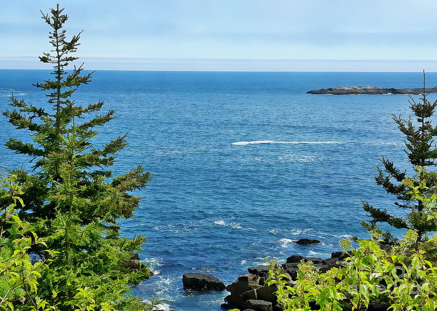 Summer Sea Acadia by Tracy Ruckman Summer Sea Acadia by Tracy Ruckman