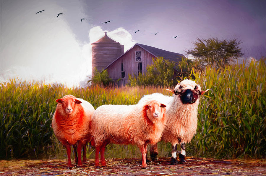 Summer Sheep Painting Digital Art by Debra and Dave Vanderlaan