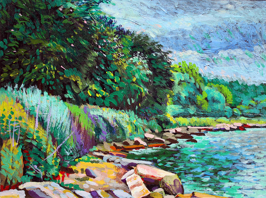 Summer Shore Of Hudson River, New York Digital Art by Charles Harker