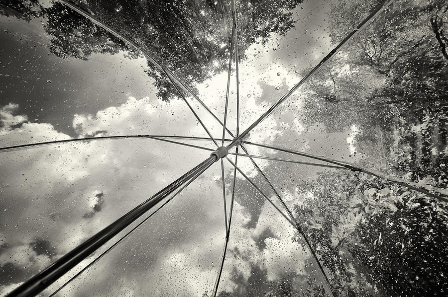 Umbrella Photograph - Summer Shower by Barefoot