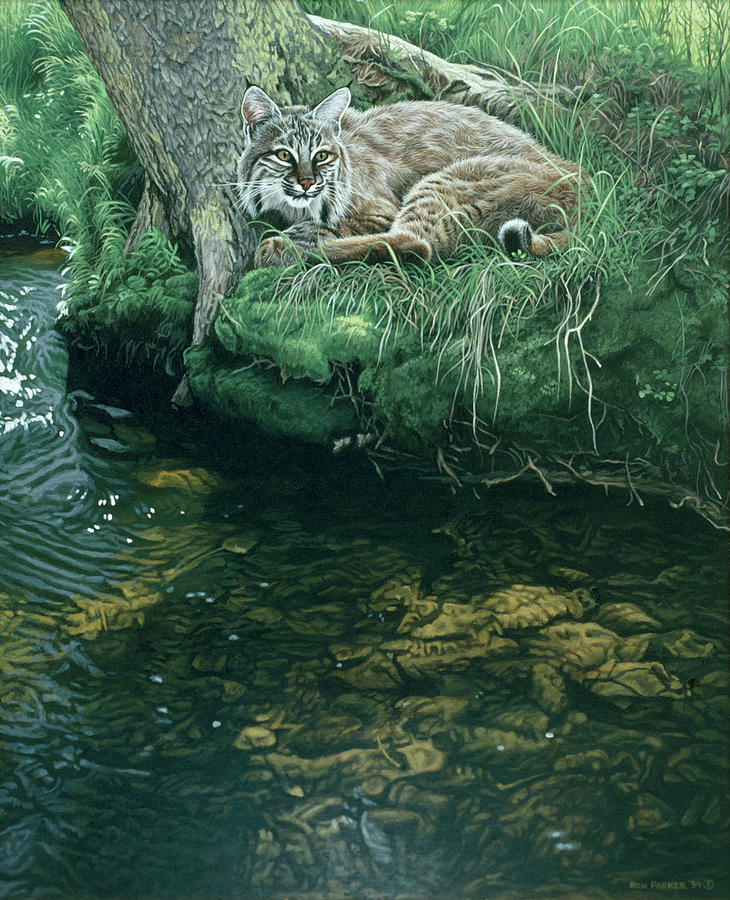 Summer Stream Bank Painting by Ron Parker