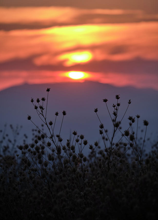 Nature Photograph - Summer sunset. Dream fields by Guido Montanes Castillo
