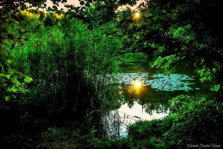 Summer Sunset by Michaela Preston Summer Sunset by Michaela Preston