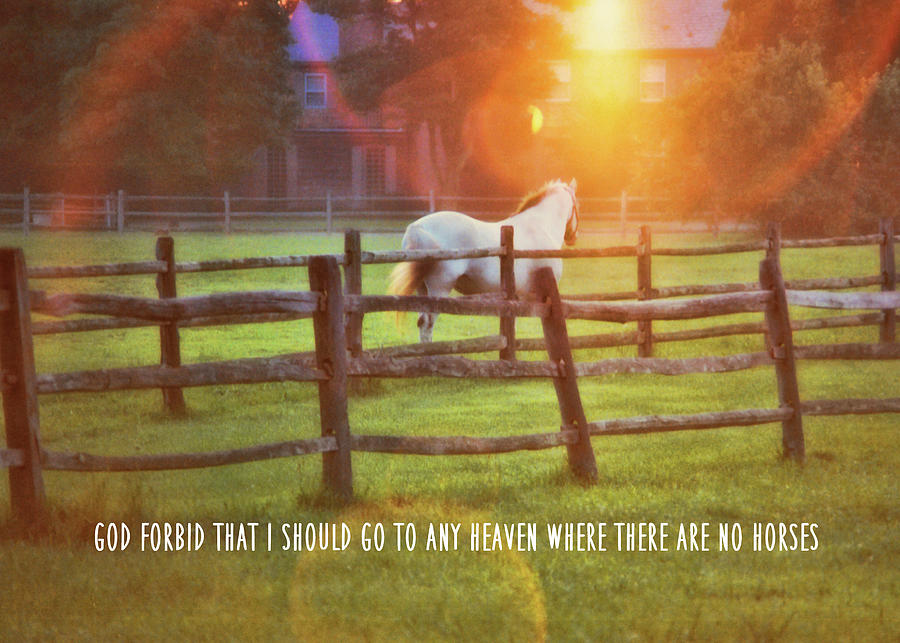 SUMMER SUNSET quote Photograph by Dressage Design