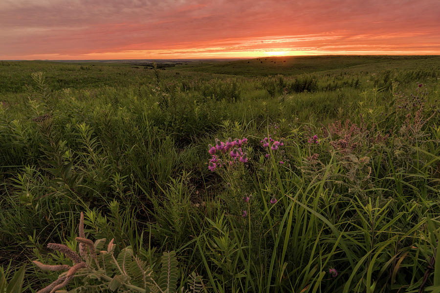 Summer Sunset by Scott Bean Summer Sunset by Scott Bean